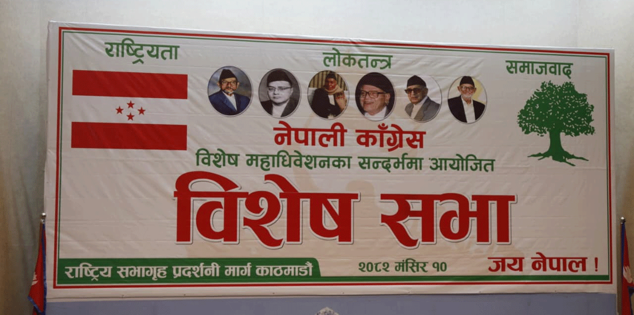 कांग्रेसको विशेष महाधिवेशन पक्षधरको सभा सम्पन्न