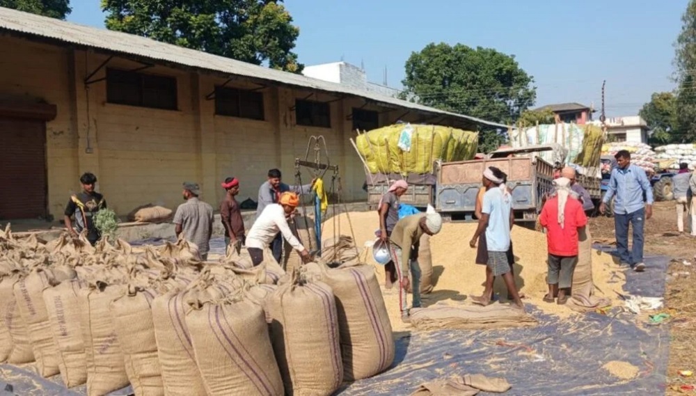 धान बेच्न किसान रातभर लाइनमा, सरकारी खरिद केन्द्रमा भीड