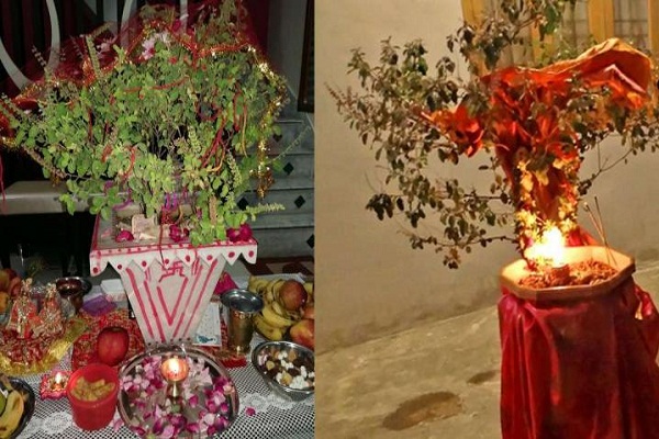 आज हरि बोधिनी एकादशी : घरमा रोपिएको तुलसीलाई दामोदरसँग विवाह गरिँदै