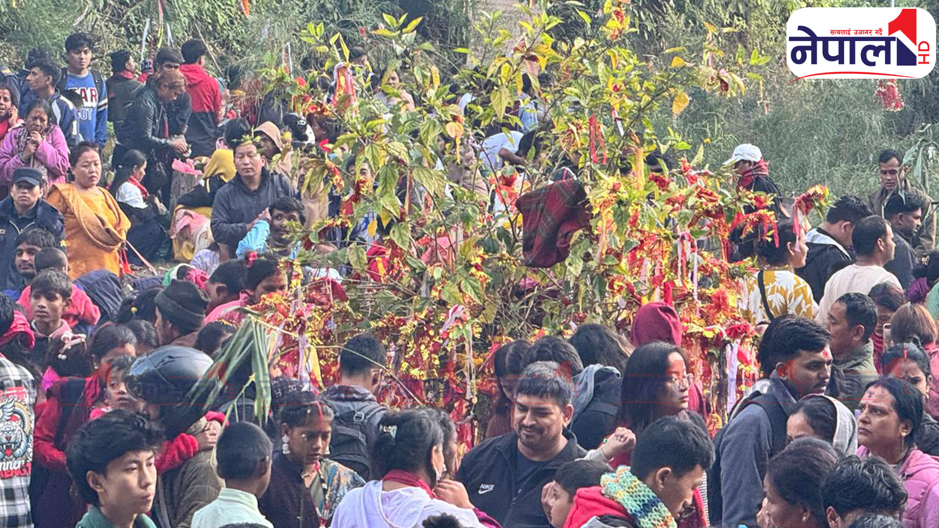 पाल्पाको सत्यवती मेला, जहाँ चिच्चाएर वर मागिन्छ (तस्बिरहरु)