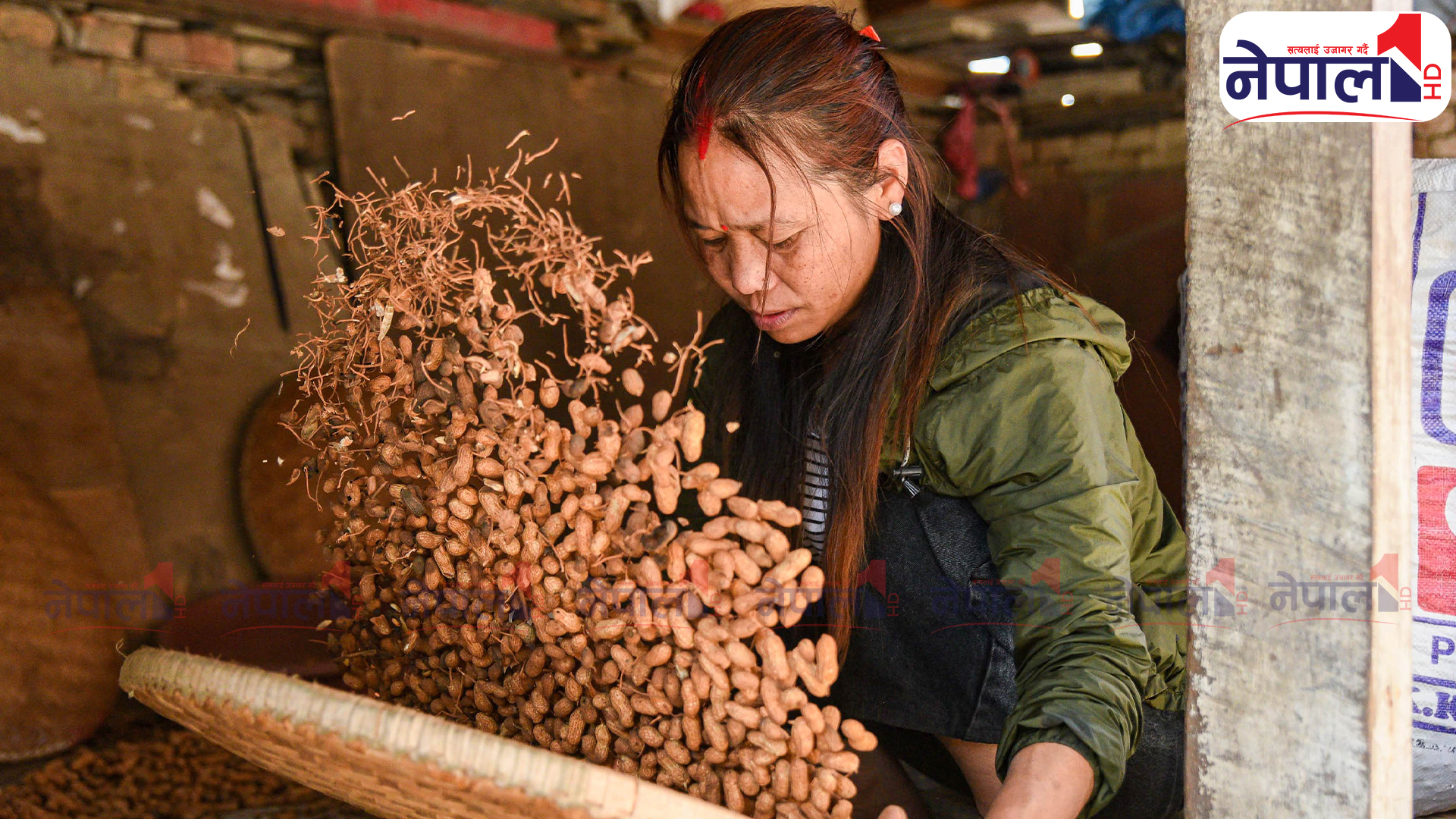 जाडोयाम सुरु भएसँगै बजारमा सुरु भयो बदामको बिक्री (तस्बिरहरु)