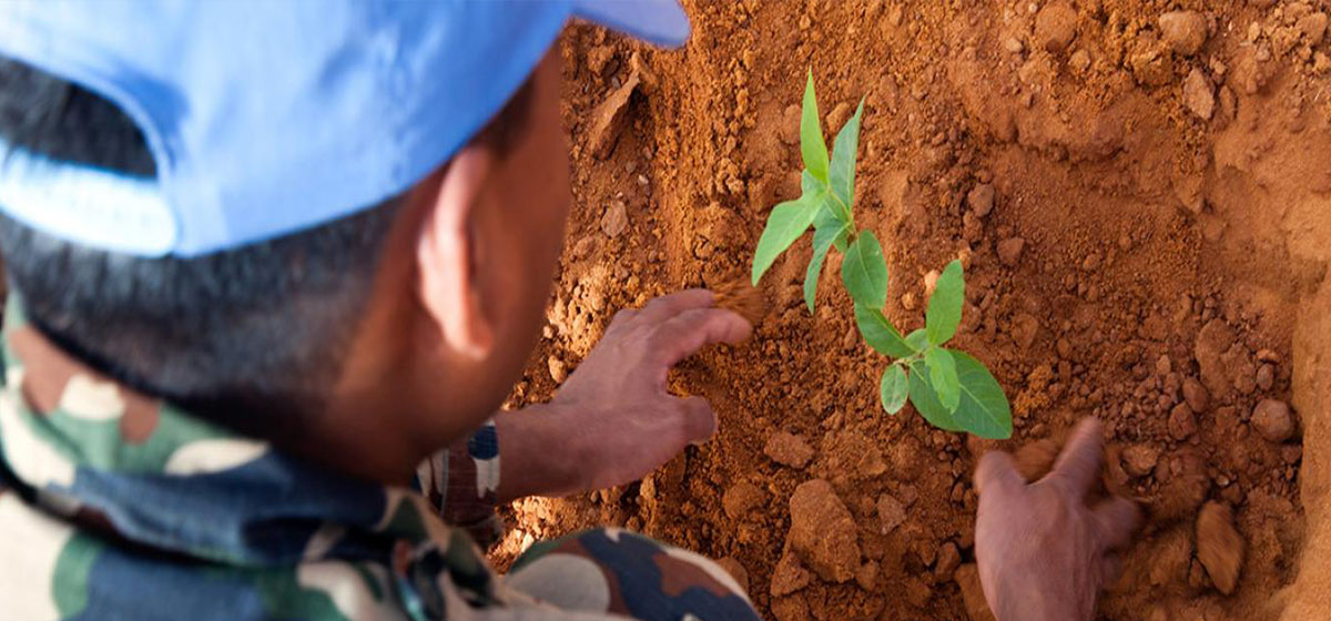 युद्ध र सशस्त्र द्वन्द्वमा वातावरणको दुरुपयोग रोक्ने अन्तरराष्ट्रिय दिवस मनाइँदै