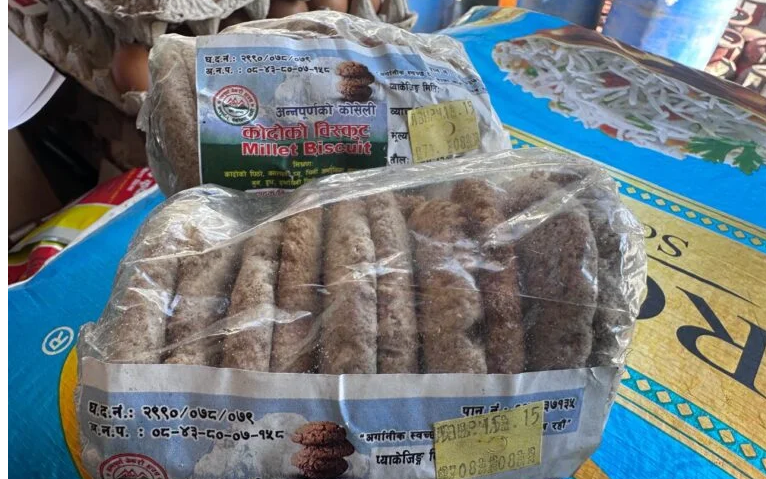 ‘कोदो गरिबको खाना’ भनेर हेप्ने दिन गए :  बिष्कुटको माग उच्च, पाउरोटी बनाउने तयारी