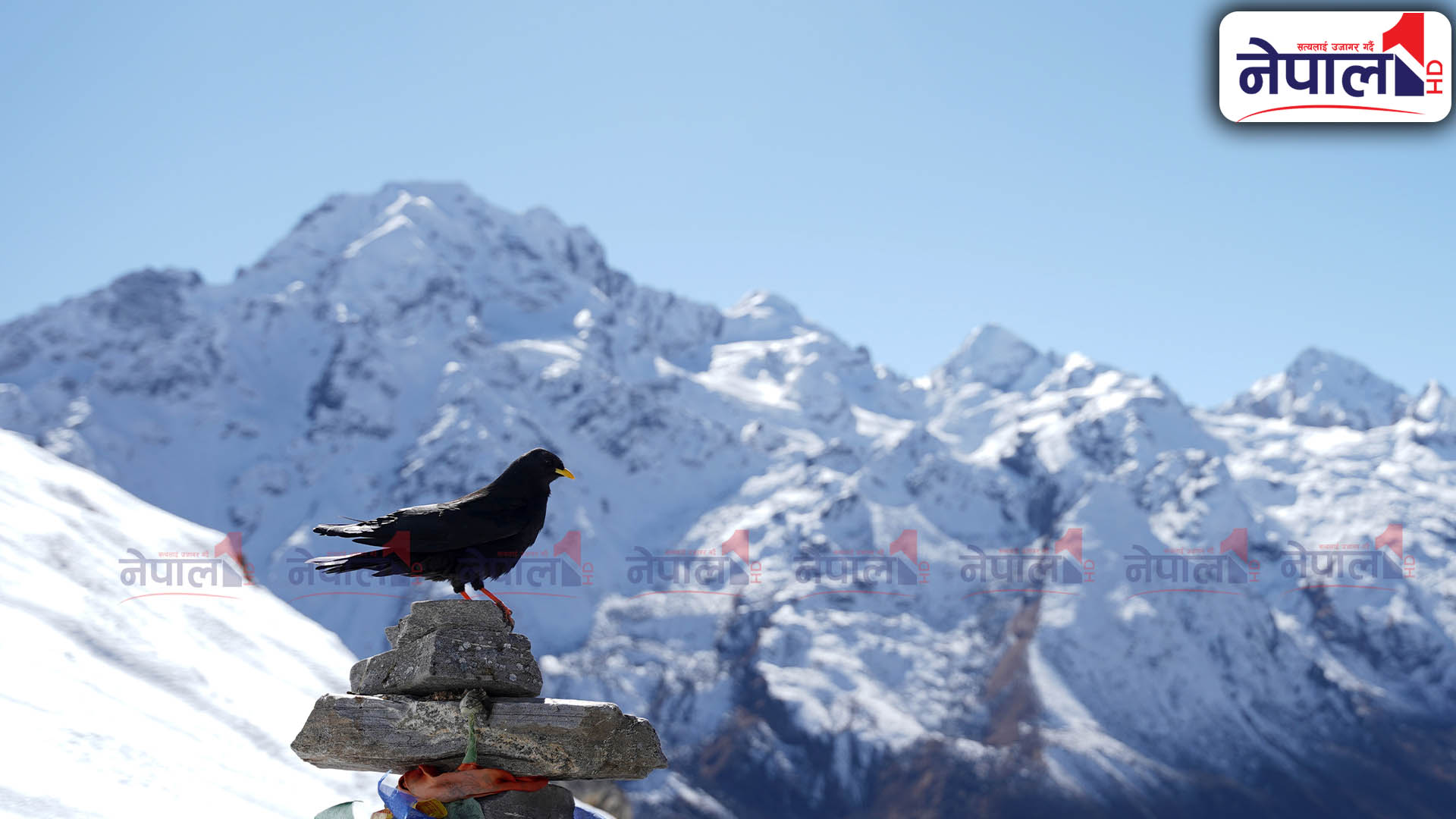 काठमाडौंबाट नजिकै रहेको ‘लाङटाङ पदमार्ग’ (तस्बिरहरू)