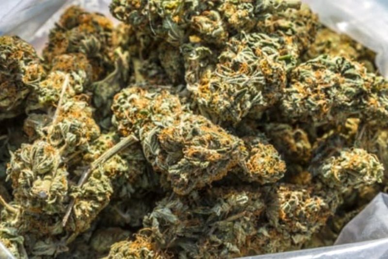 सिरहा लहानबाट १ हजार १५ किलो  गाँजा सहित २ जना पक्राउ