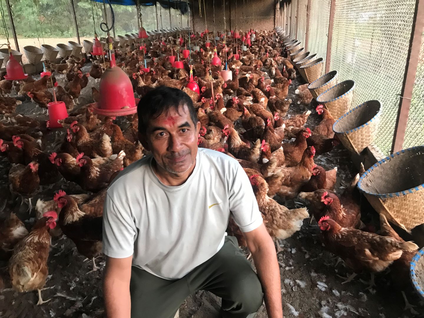 कुखुरापालनबाट मासिक एक लाख आम्दानी