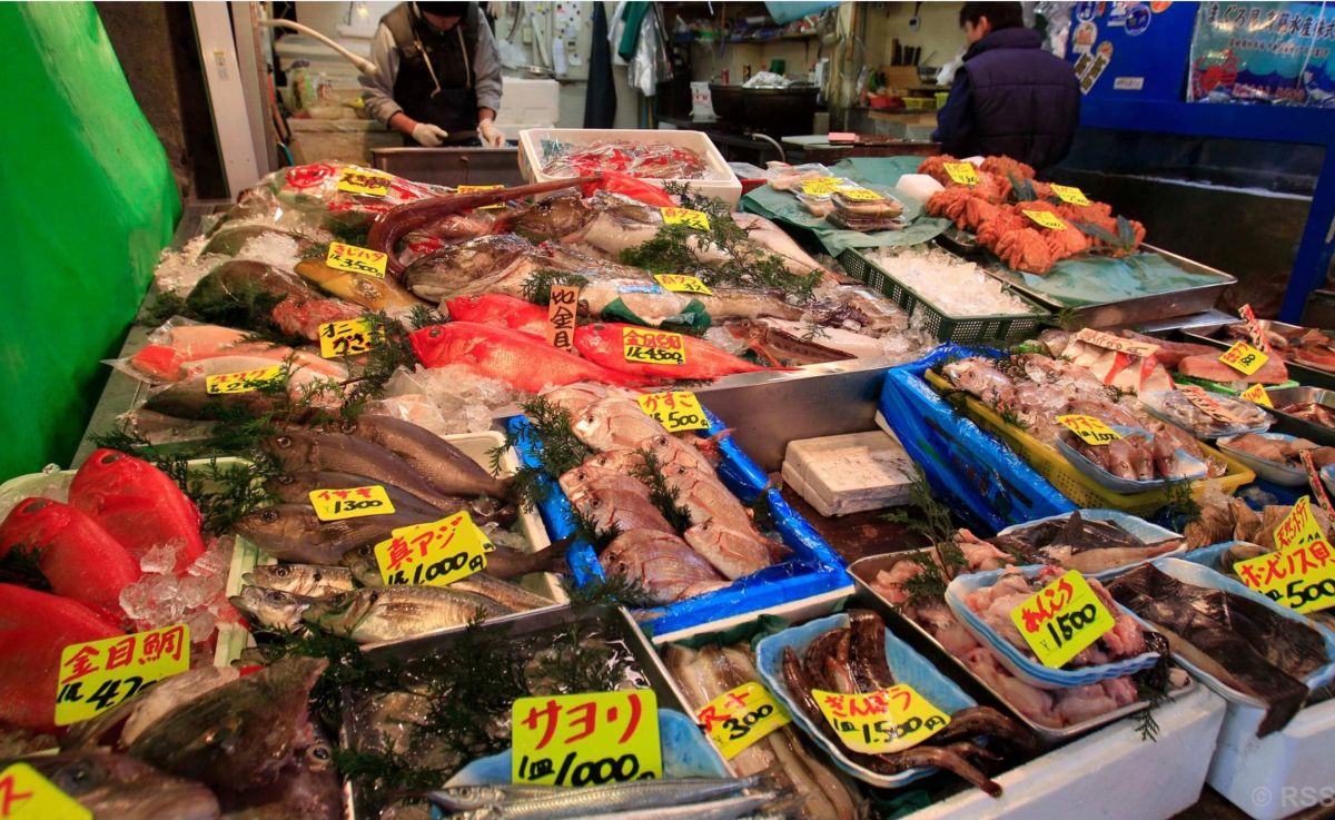 जापानद्वारा दुई वर्षमा पहिलोपटक चीनमा समुद्री खाद्य निर्यात पुनः सुरु