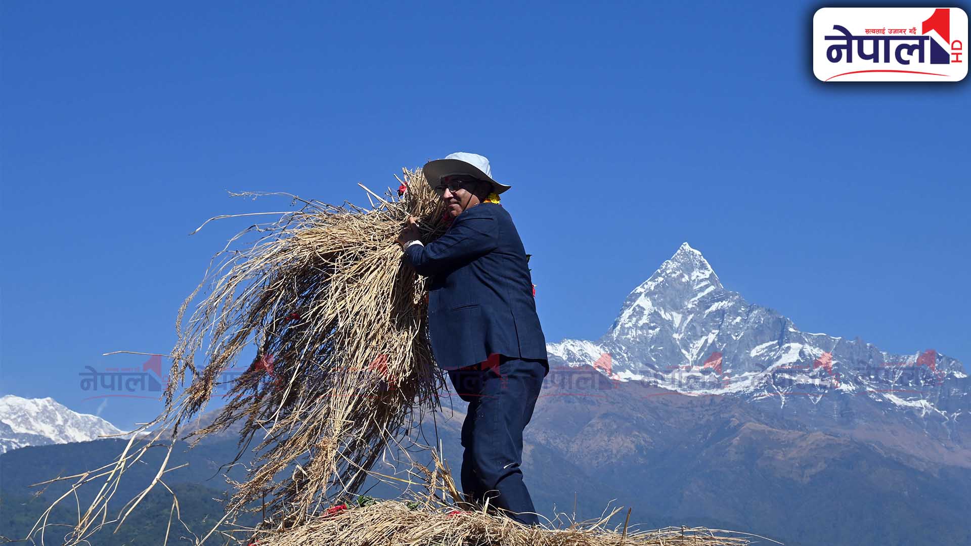 पोखराको पुरुन्चौर चुरुंगामा दाइँ महोत्सव (तस्बिरहरू)