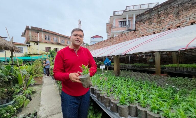 नर्सरीबाट वार्षिक ४० लाख आम्दानी गर्दै केदार