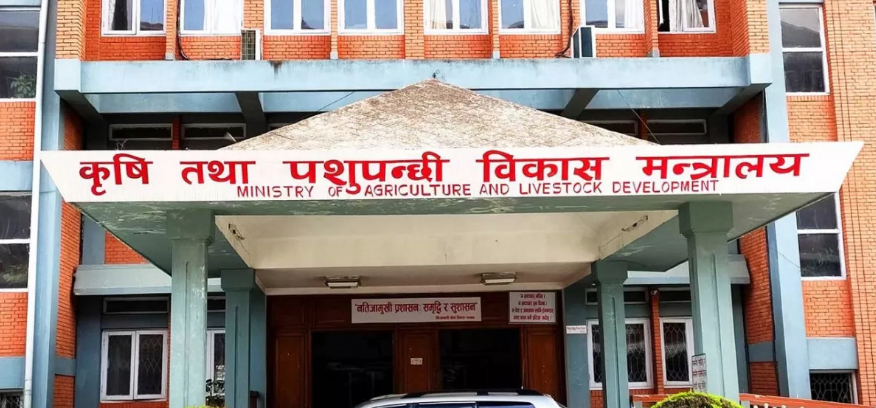 वर्षाले देशभर कृषि र पशुपन्छी क्षेत्रमा तीन अर्ब ५५ करोडको क्षति