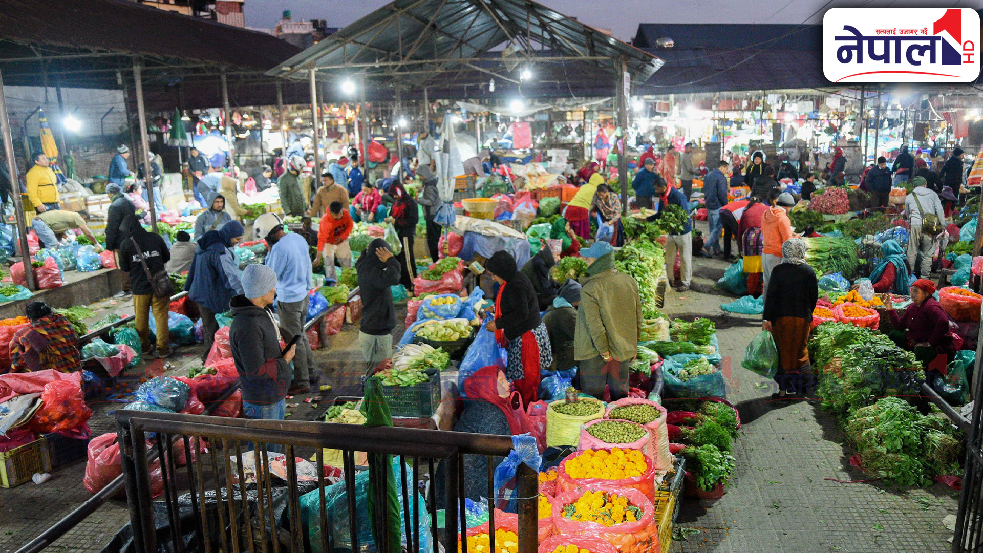 बिहान सबेरैदेखि राति अबेरसम्म यसरी चल्छ कालिमाटी तरकारी बजार (फोटोफिचर)