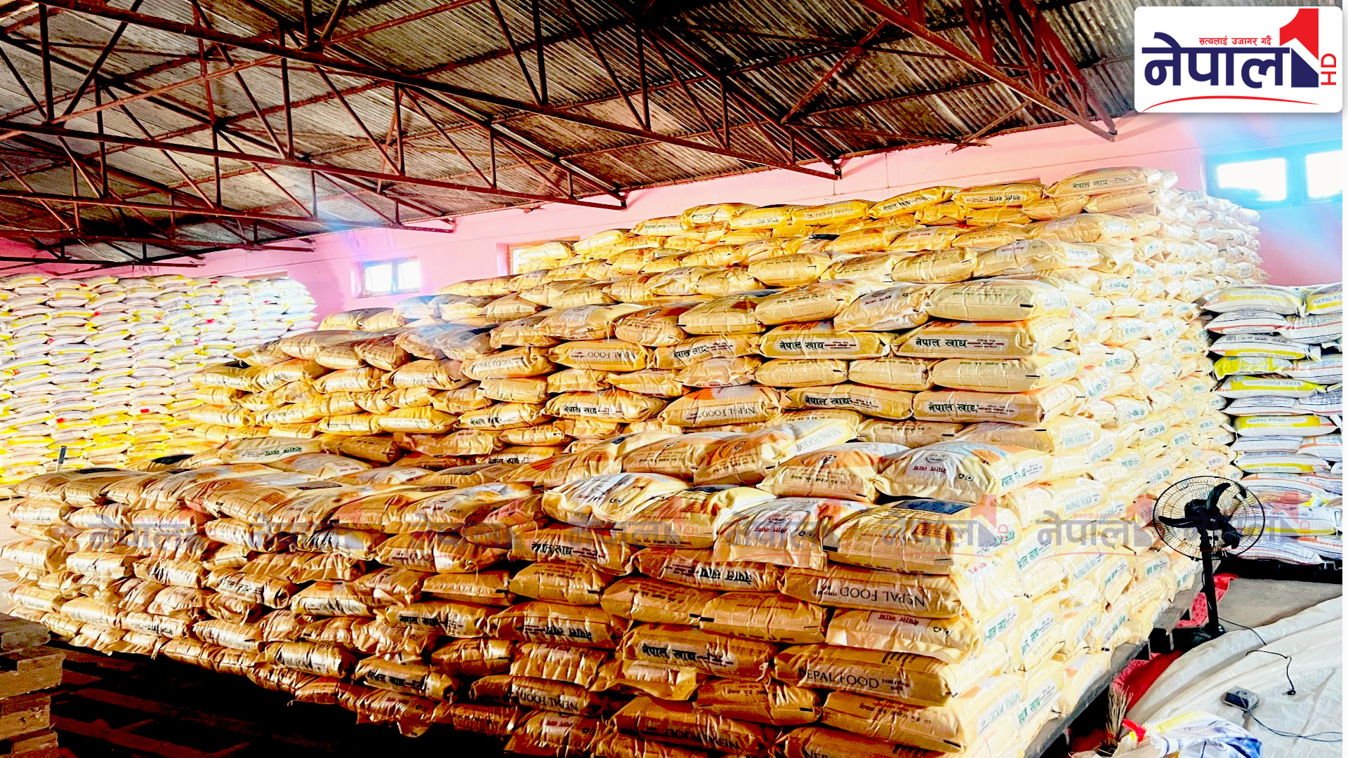 रैथाने बाली संरक्षणमा प्रदेश सरकार