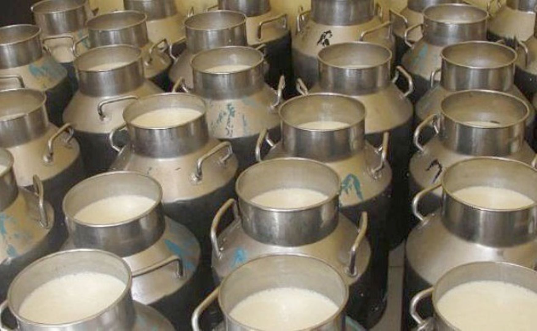 उद्यमी राईको लोभलाग्दो आम्दानी