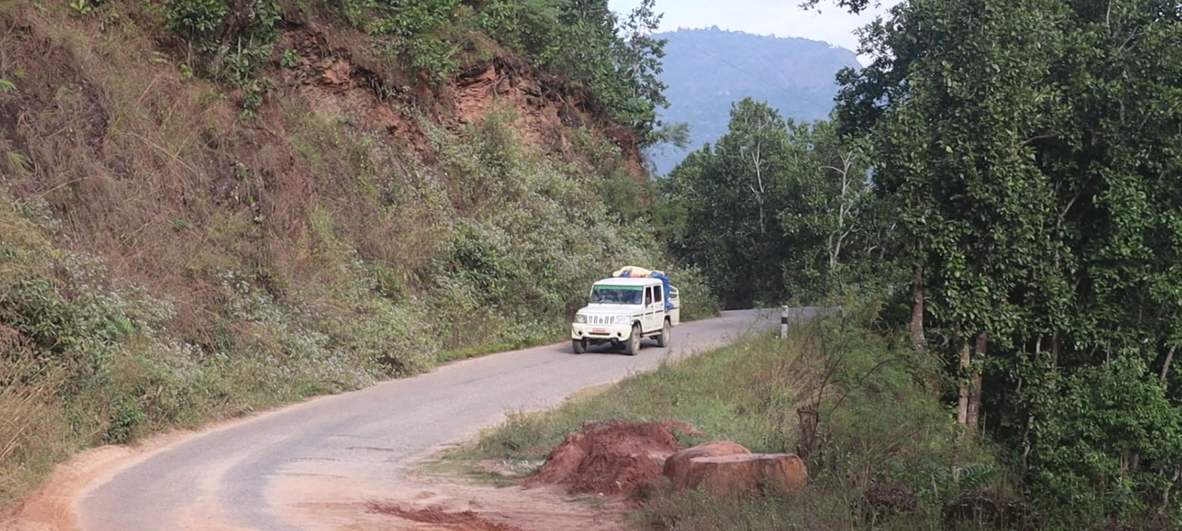 झाडी सरसफाइ नहुँदा दुर्घटनाको जोखिम