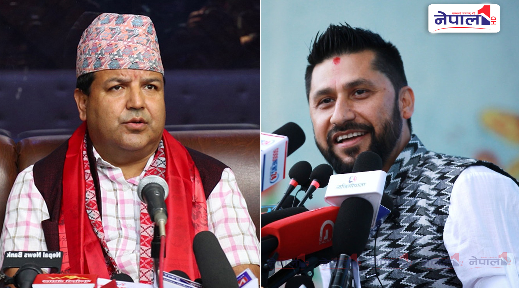 रवि अपराधी होइनन्, चुनावी अभियानमा सहभागी हुने अधिकार पाउनु पर्छ : नेता शर्मा