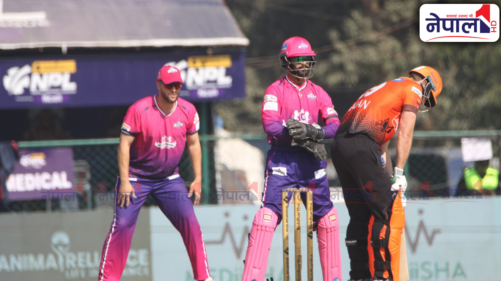 मालान–अर्जुनको शतकीय साझेदारीमा चितवनको जनकपुरलाई १७७ रनको चुनौति