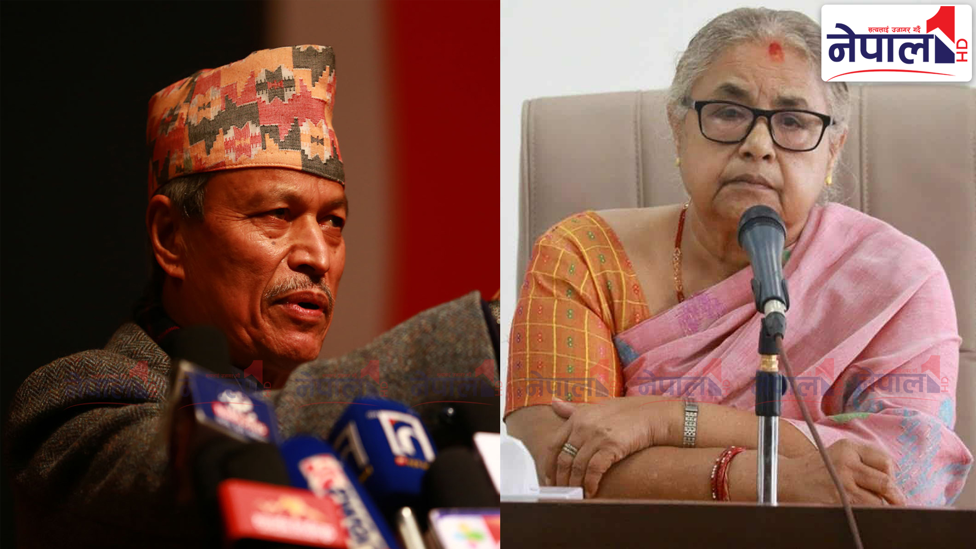 ‘इम्बोस्ड नम्बर प्लेट’ सम्झौताको म्याद थप्नु राष्ट्र र जनतामाथि घात : भीम रावल