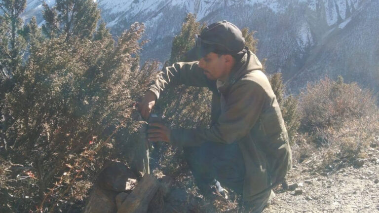 मनाङमा हिउँ चितुवा सर्वेक्षण : ङिस्याङ, नारफू र तिलिचो आसपासका क्षेत्र बासस्थान