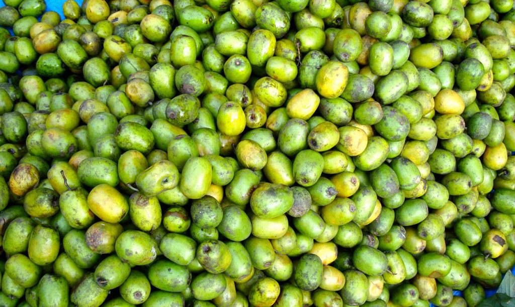 पर्वतमा व्यवसायीलाई लप्सीका परिकार बनाउन भ्याइनभ्याइ