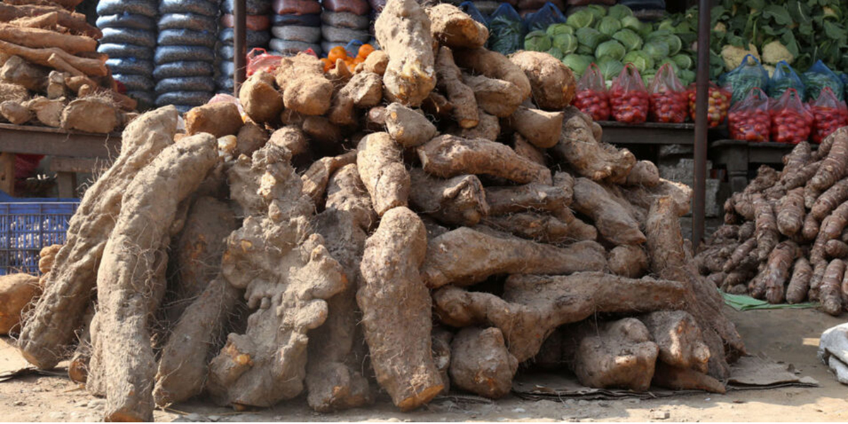 सुदूरपश्चिममा ‘पुस पन्ध्र’