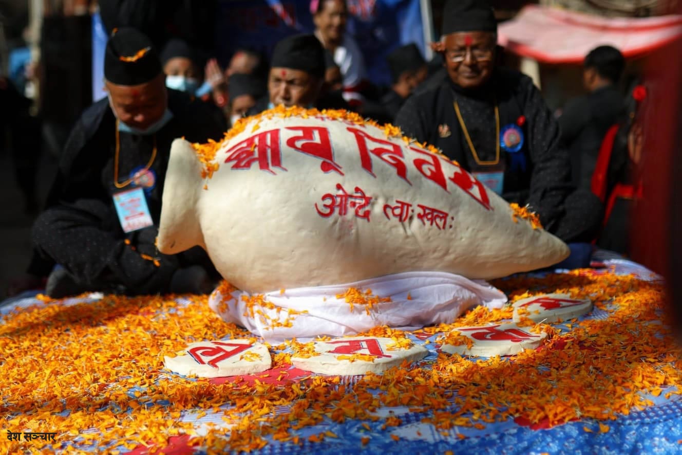 आज धानको विधिपूर्वक पूजाआजा एवं दान गरी धान्यपूर्णिमा र योमरी पुन्हि मनाइँदै