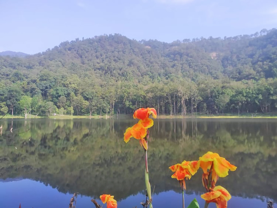 आहा ! आलिताल