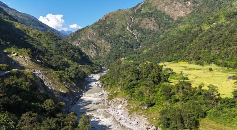 माथिल्लो अरुण आयोजना निर्माणका लागि दुई हजार बढी रुख काटियो