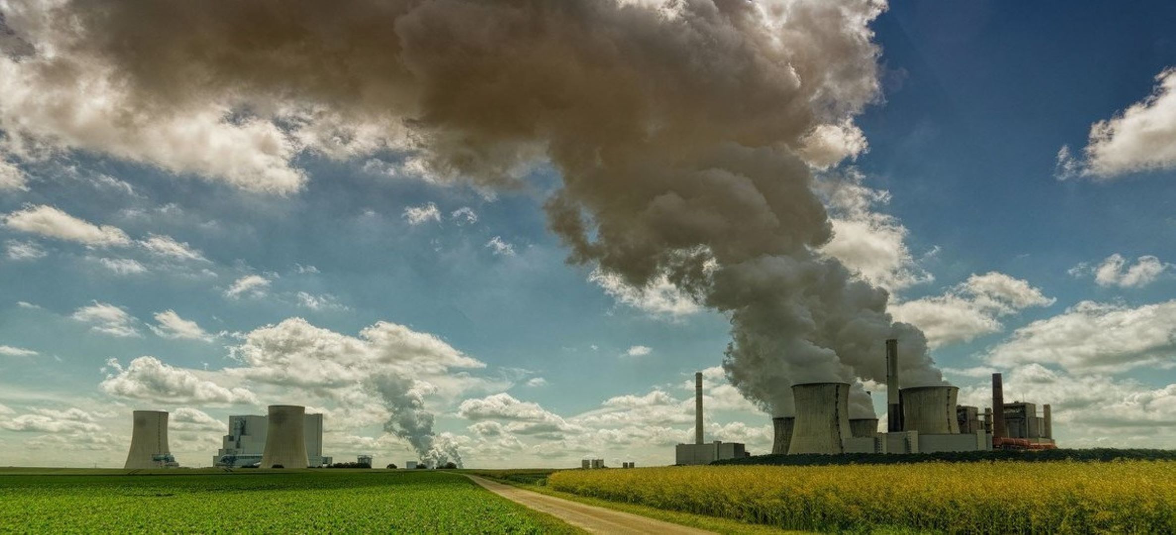 निजी क्षेत्रले कसरी गर्छ कार्बन व्यापार ?