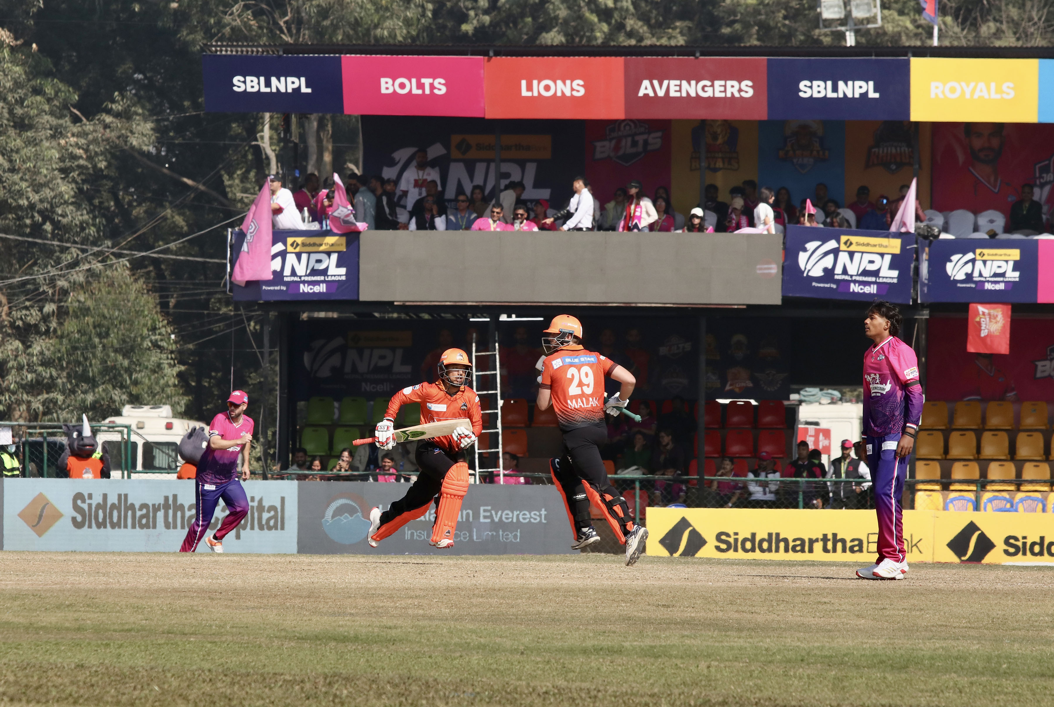 मालान–अर्जुनको शतकीय साझेदारीमा चितवनको जनकपुरलाई १७७ रनको चुनौति