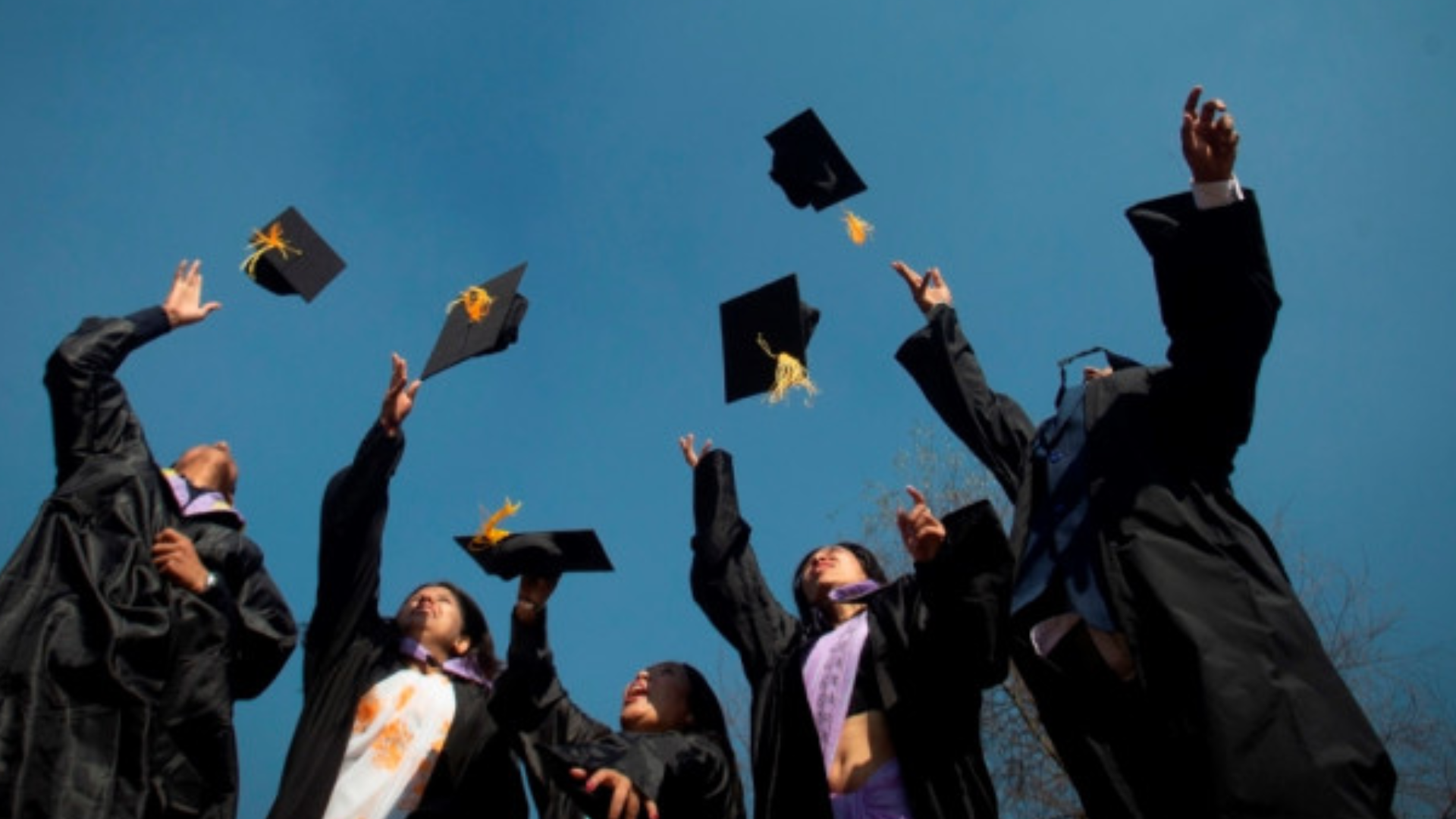 त्रिवि दीक्षान्त समारोहः एकै विद्यार्थीलाई तीन पदक