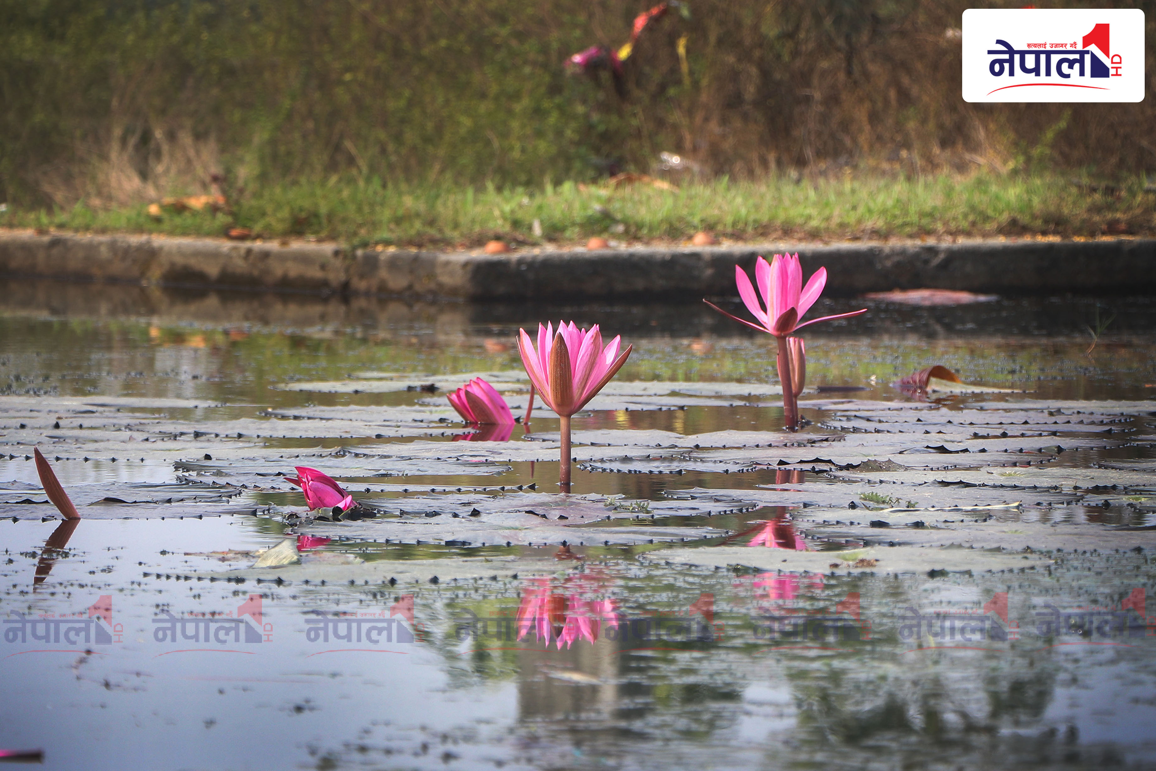 झापा जिल्लाको ऐतिहासिक एवम् धार्मिक स्थल किचक बध (तस्बिरहरु)