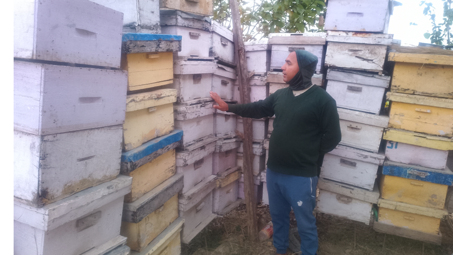 अवकाशपछिको जाँगरः मौरीपालनबाट मनग्य आम्दानी गर्दै घनश्याम