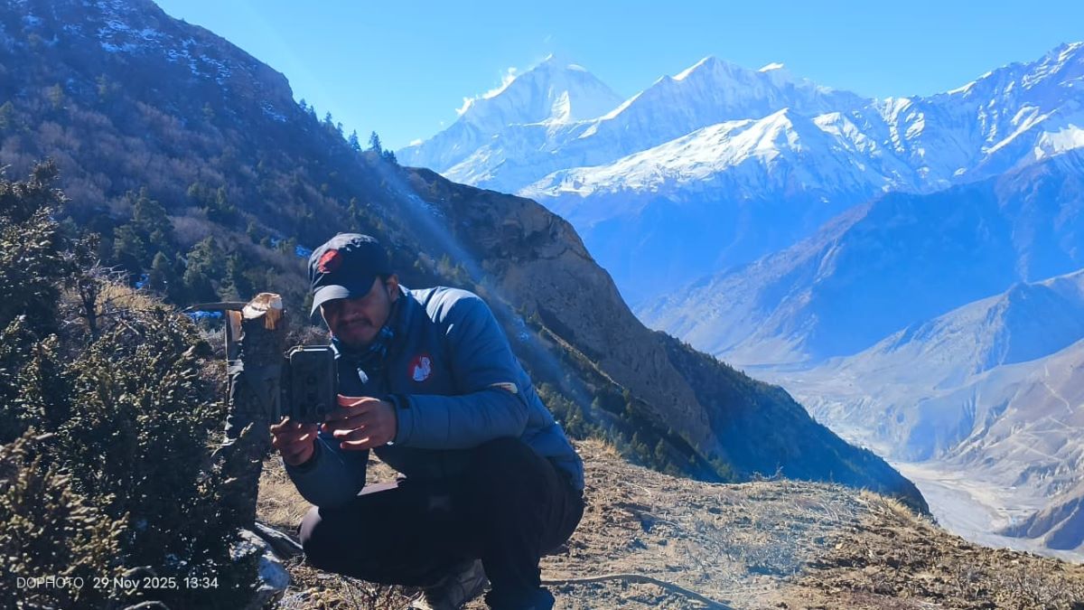 मुस्ताङमा दुर्लभ हिउँ चितुवा अध्ययन गर्न ‘क्यामेरा ट्यापिङ’ गरिँदै