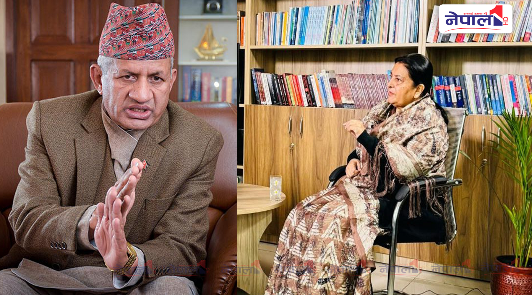 एमाले नेता ज्ञवालीको टिप्पणी : पूर्व राष्ट्रपतिको अभिव्यक्ति सुन्दा उदेक लाग्यो