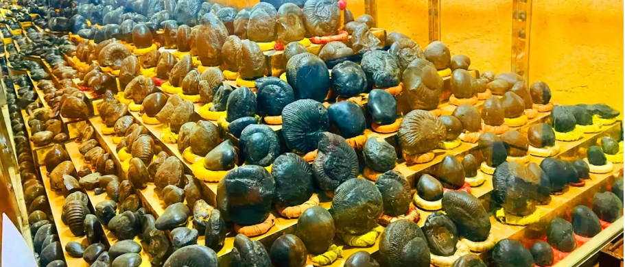 धार्मिक पर्यटकका लागि आकर्षक गन्तव्य बन्दै शालग्राम सङ्ग्रहालय