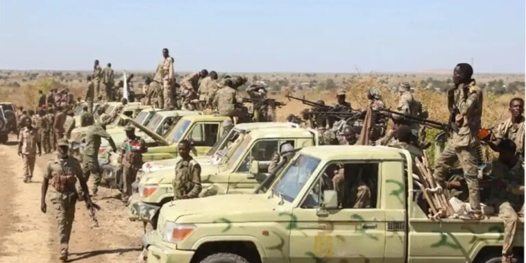 सुडानमा नागरिक बस्तीमा आक्रमण, बालबालिकासहित ११४ को मृत्यु