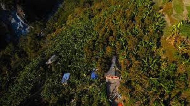 बिलाउनीको स्याल लुक्ने झाडी फाडेर मित्रलालले बनाए हराभरा सुन्तला बगान, केराबाट मात्र एक लाख आम्दानी