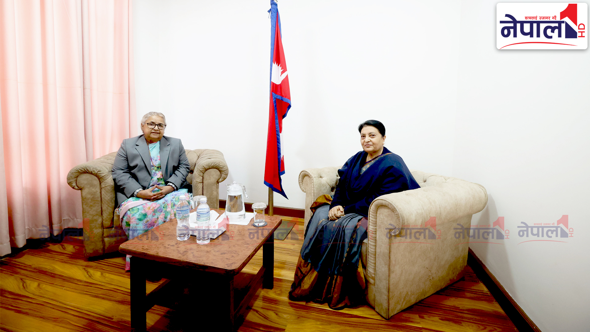 प्रधानमन्त्रीलाई पूर्व राष्ट्रपति भण्डारीको आग्रह : निर्वाचन घोषित मितिमै होस्