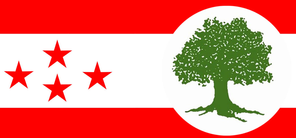 यी हुन् कांग्रेसका राष्ट्रिय सभा उम्मेदवार (सूची)