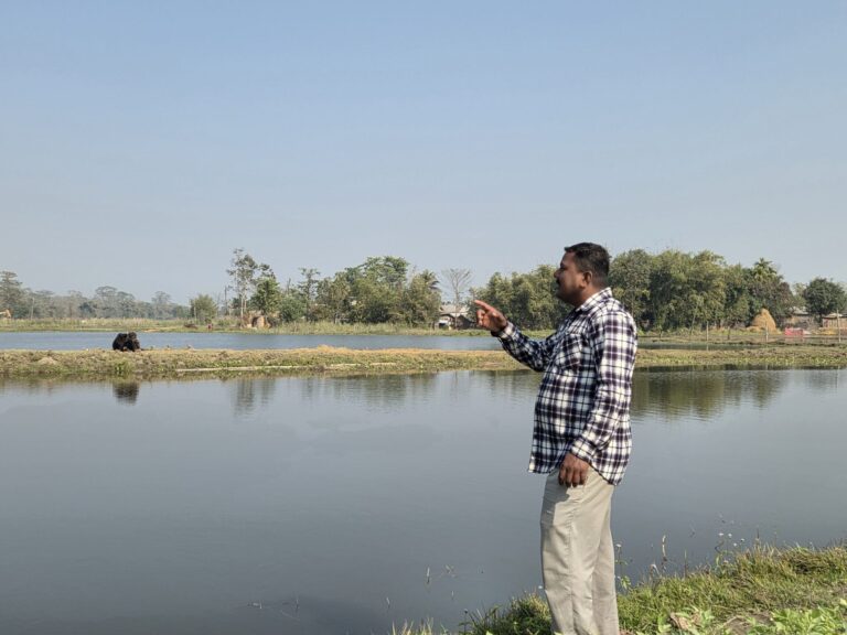 खत्वेको लोभलाग्दो कृषि कर्म, खर्च कटाएर सात लाखसम्म आम्दानी हुँदै