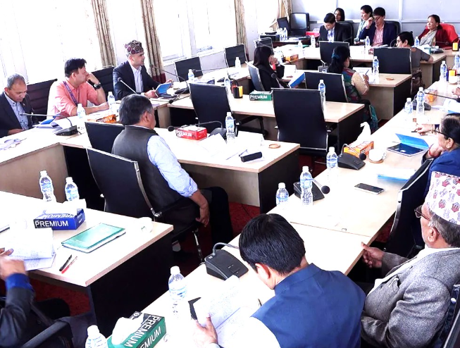 दुई संसदीय समितिको बैठक आज बस्दै