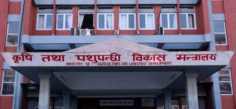 ‘अफ्रिकन स्वाइनफिभर’को जोखिम बढेपछि उच्च सतर्कता अपनाउन आग्रह