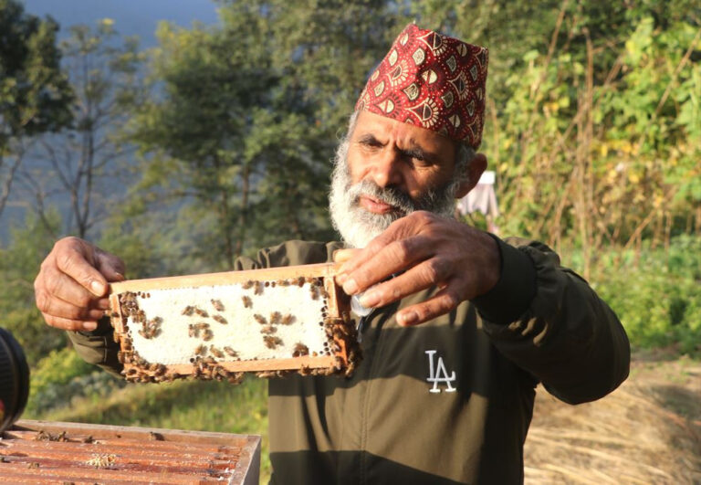 मौरीघार र महले आत्मनिर्भर पृतिराज, गाउँमै सिर्जना भयो रोजगार