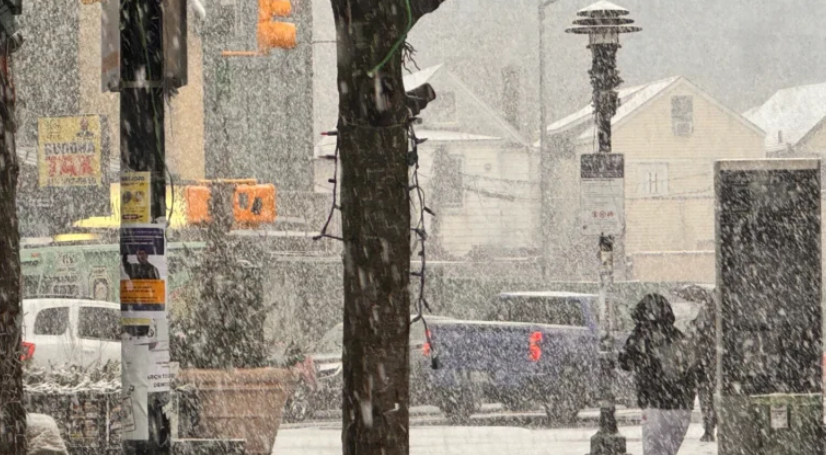 न्युयोर्कमा अत्यधिक चिसोका कारण १४ जनाको मृत्यु