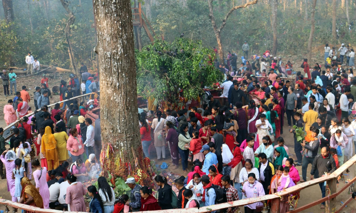 चैत ५ गतेदेखि १९ सम्म कसरामा विक्रमबाबा पूजापाठ हुने