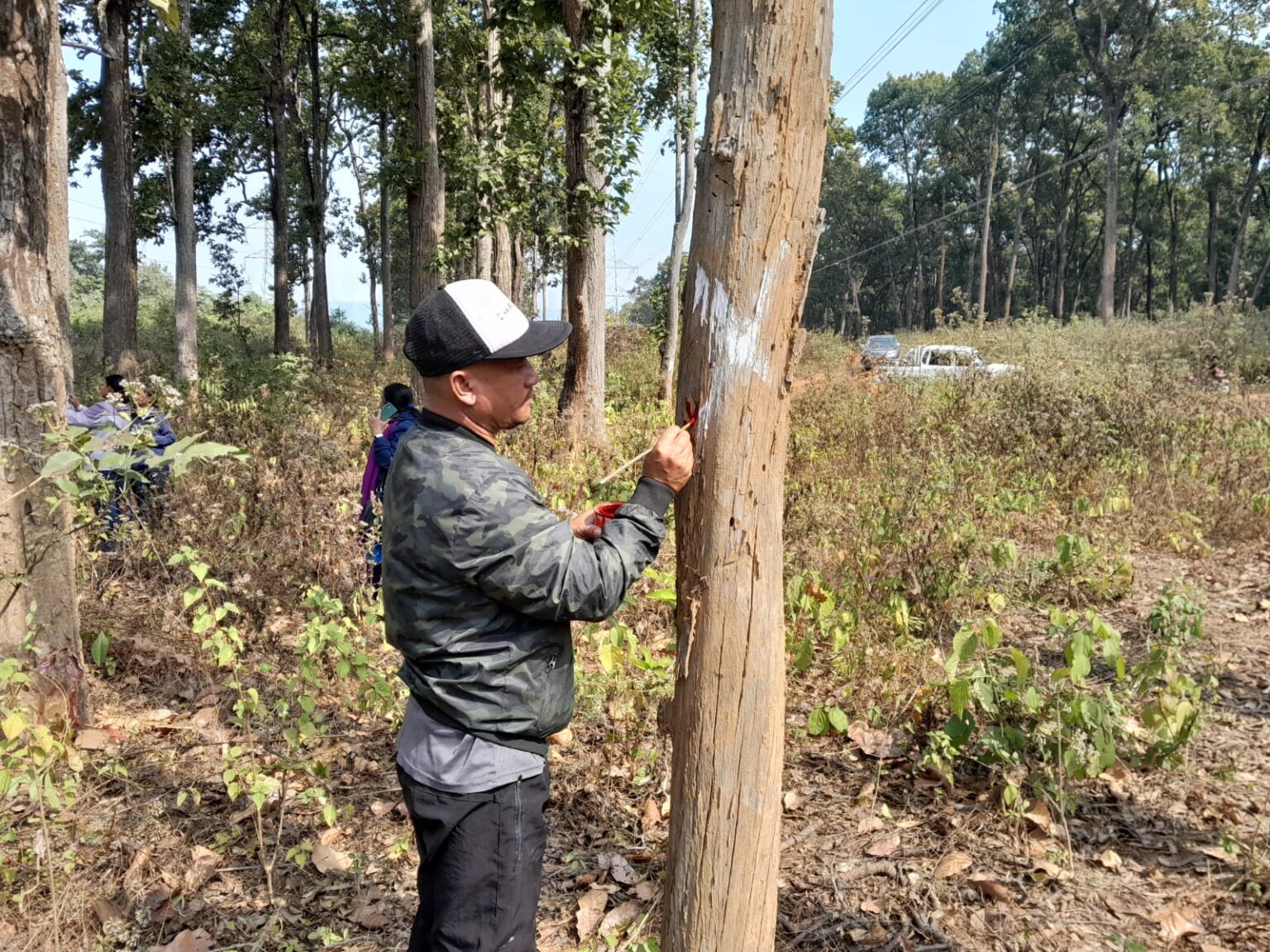 तनहुँ जलविद्युत् आयोजनाः प्रसारण लाइन निर्माणका लागि रुख छपान सुरु