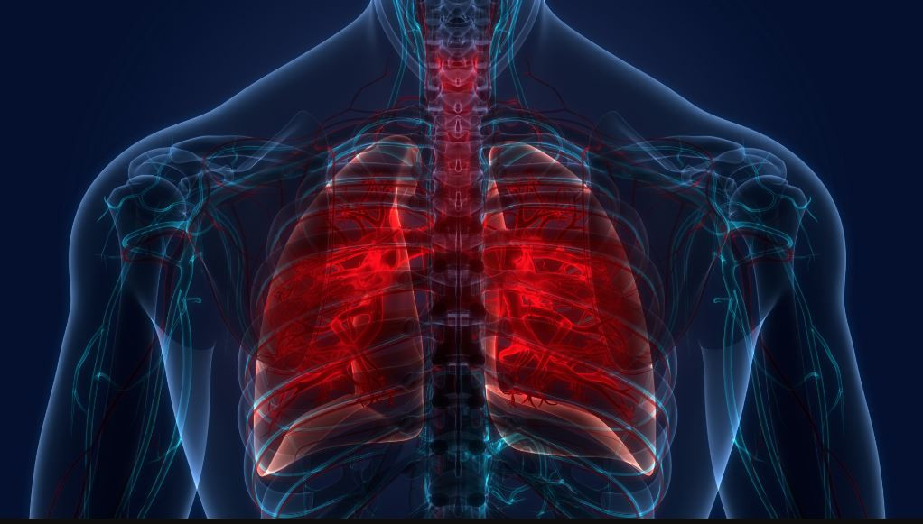 आज विश्व क्षयरोग दिवसः जनचेतनामूलक कार्यक्रम गरेर मनाइँदै