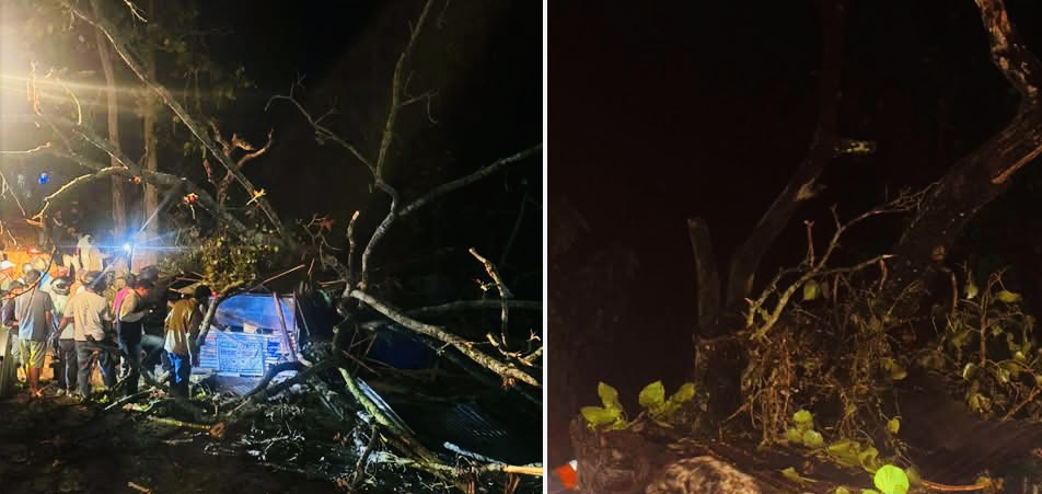 हुरीबतासबाट रुख ढलेर कटारीमा दुई जनाको मृत्यु, छ घाइते