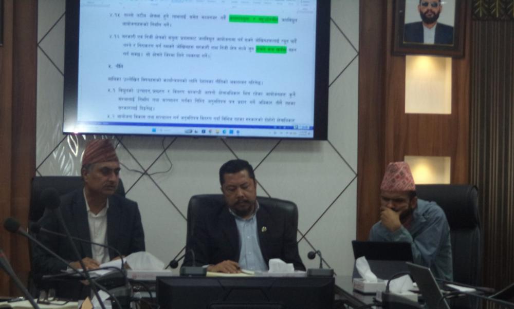 ऊर्जामन्त्री श्रेष्ठद्वारा विद्युत् नीतिमाथि आन्तरिक छलफल