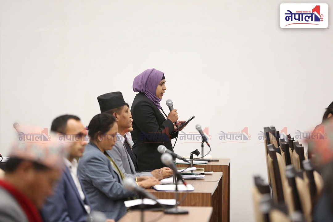 सांसद समिना मियाँले राखिन् सडक सुधारको यस्तो माग